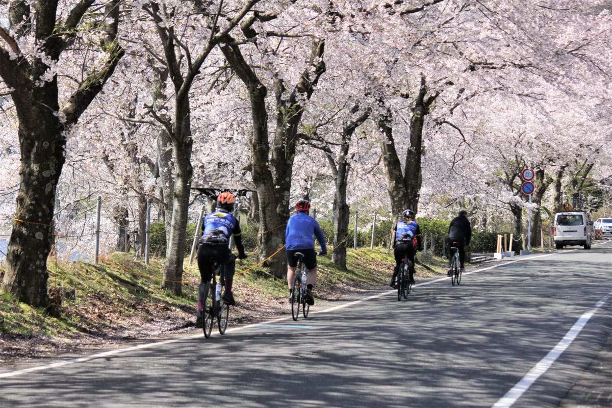 Nara/Lake Biwa/Kyoto – relaxed